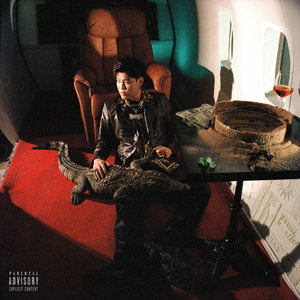 德国dsm打针女人奶上
