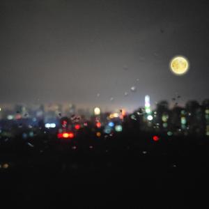 德国dsm打针女人奶上
