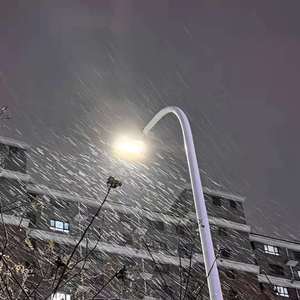 德国dsm打针女人奶上
