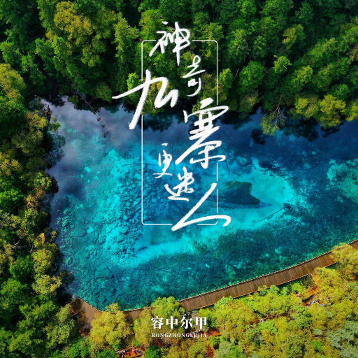 德国dsm打针女人奶上
